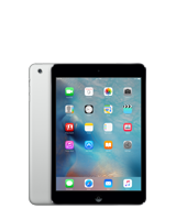 Ремонт iPad Mini 4 - iChoice